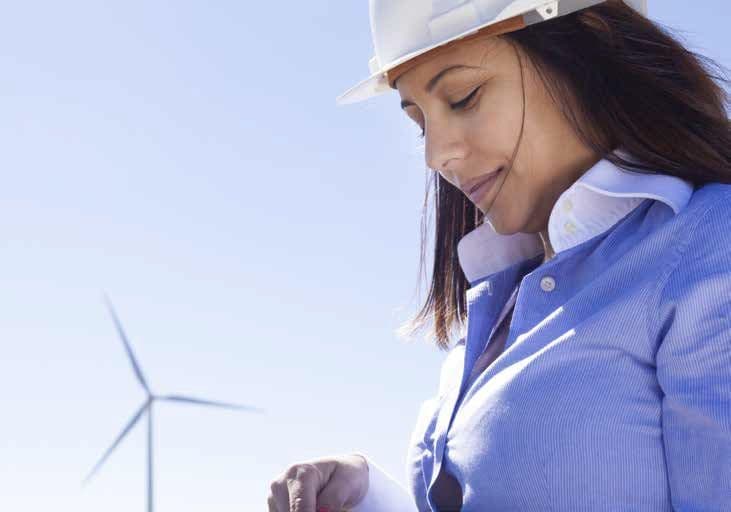 Wind energy professional supporting environmental management